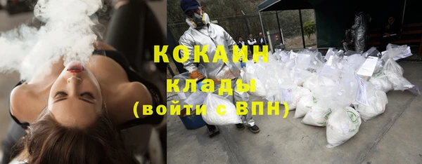 крисы Россошь