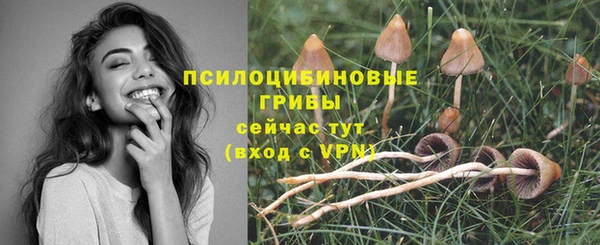 apvp Ивантеевка