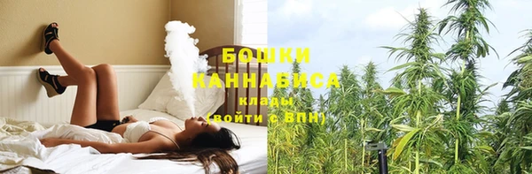 крисы Россошь