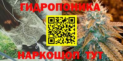 бошки Гусев