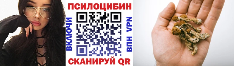 Псилоцибиновые грибы мицелий  даркнет сайт  Саяногорск 