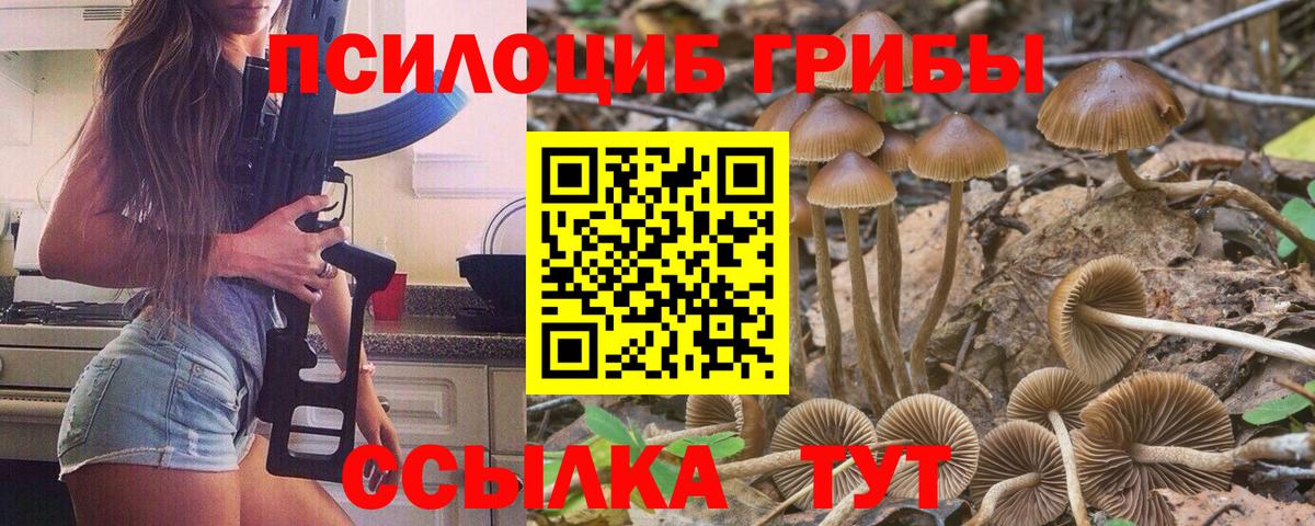 Саяногорск  Псилоцибиновые грибы мицелий  Вход с VPN  Галлюциногенные грибы мицелий 